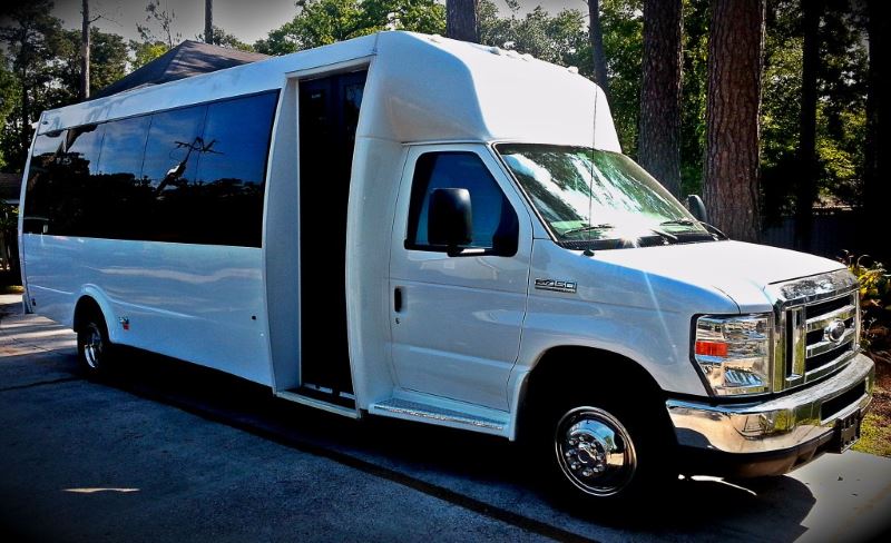 Dallas 22 Passenger Party Bus